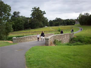 park bridge